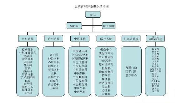 医院管理体系组织结构图